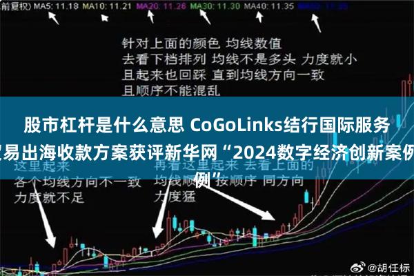 股市杠杆是什么意思 CoGoLinks结行国际服务贸易出海收款方案获评新华网“2024数字经济创新案例”