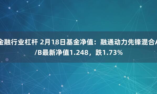 金融行业杠杆 2月18日基金净值：融通动力先锋混合A/B最新净值1.248，跌1.73%