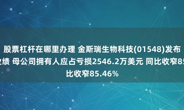 股票杠杆在哪里办理 金斯瑞生物科技(01548)发布中期业绩 母公司拥有人应占亏损2546.2万美元 同比收窄85.46%