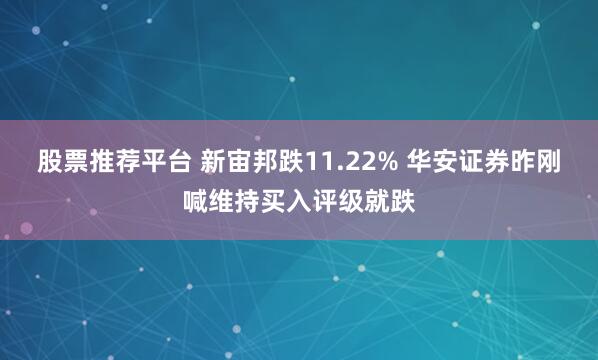 股票推荐平台 新宙邦跌11.22% 华安证券昨刚喊维持买入评级就跌